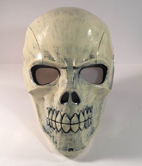 Skeletor mask from Masters of the Universe or Ghost Rider